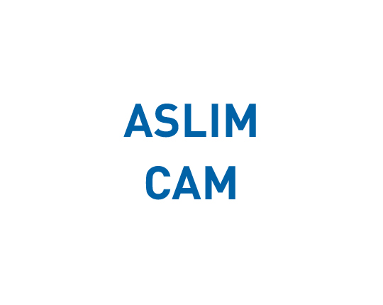 Aslım Cam